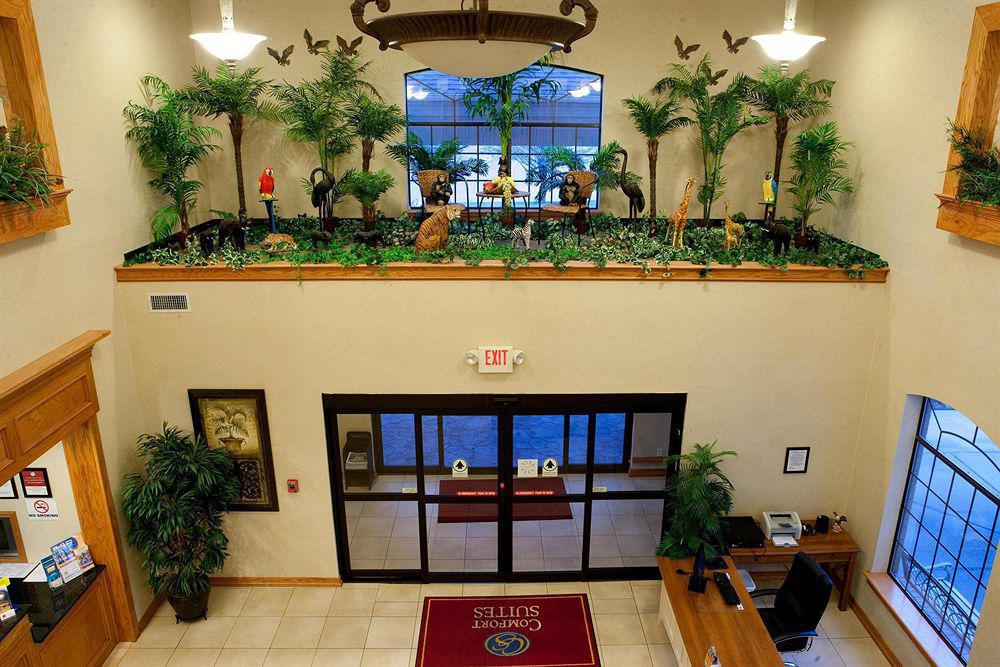 Comfort Suites Tyler South Interiér fotografie